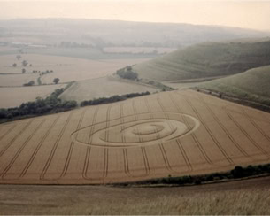 Crop Circle