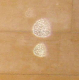 Orbs