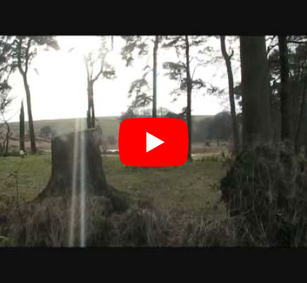 Video Play Video