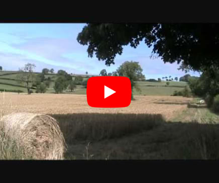 Video Play Video